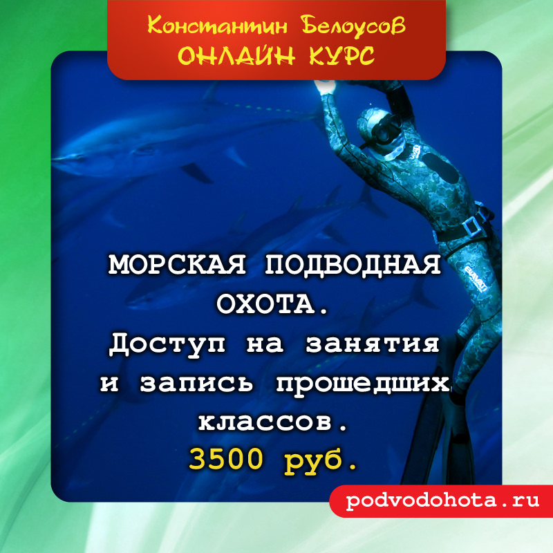 Курсанты морского училища. Морские курсы в москве. Морские курсы в москве. Море курсов. Морской английский для судоводителей термины.