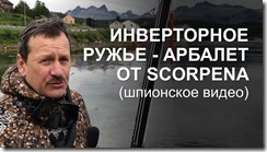 инвертер от Scorpena