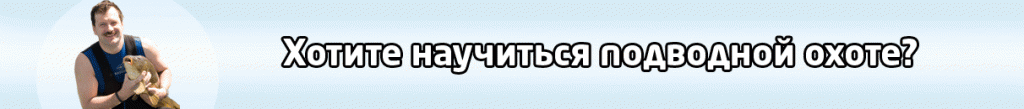 bANNER2_11