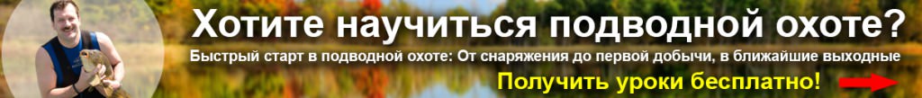 bpoz