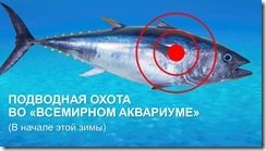 Море Кортеса заставка